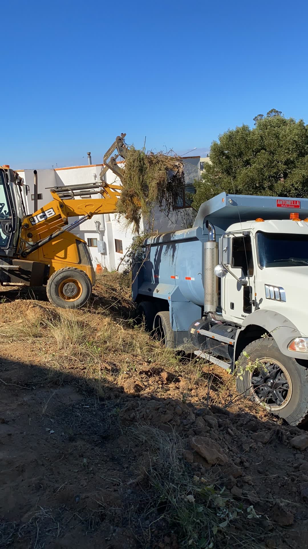 Limpieza de terrenos y retiro de escombros en Curauma